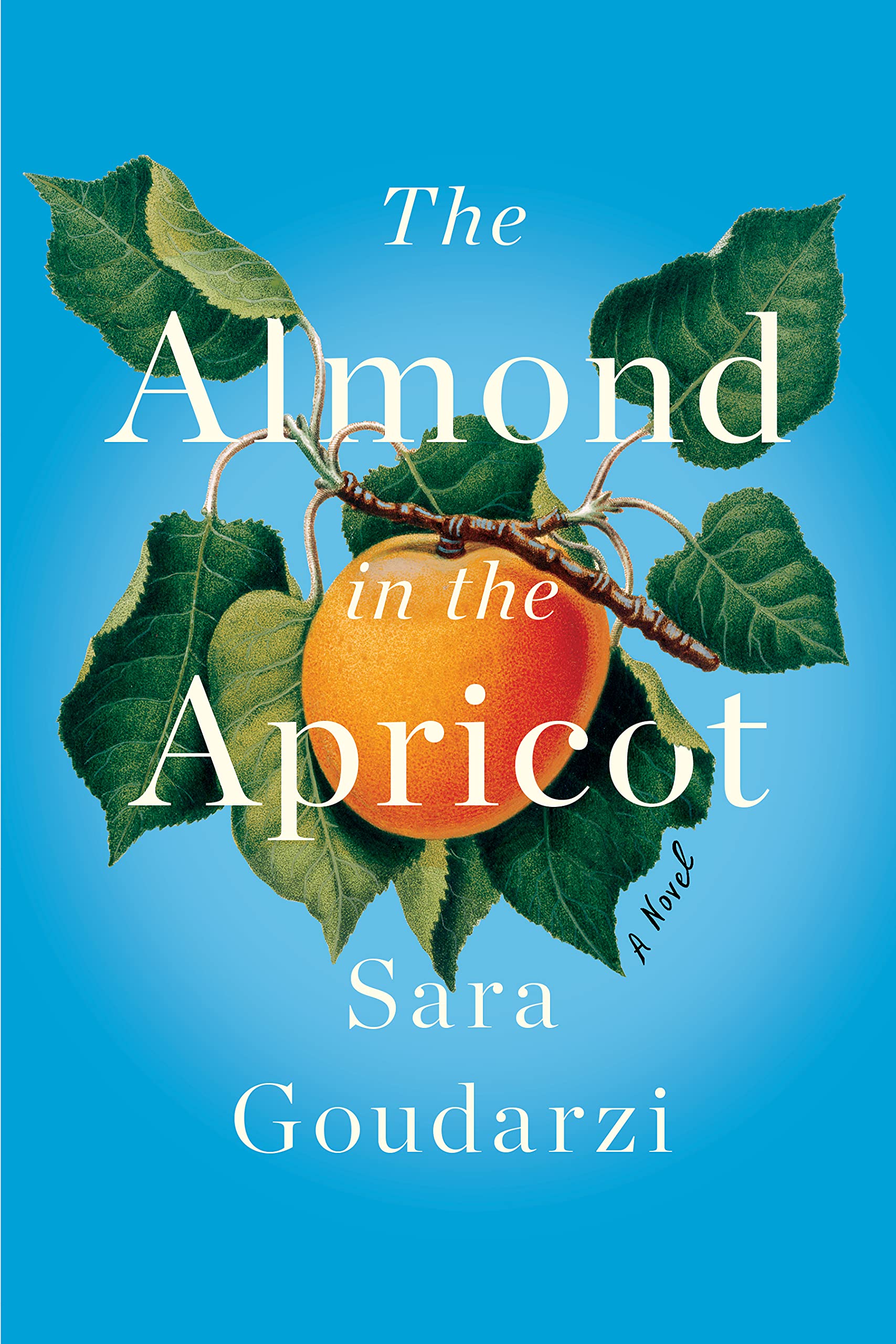 book review almond