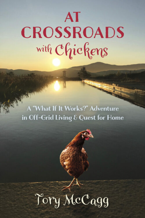 At Crossroads with Chickens: A "What If It Works?" Adventure in Off-Grid Living & Quest for Home