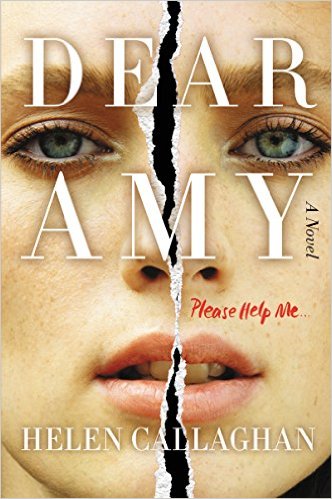 Dear Amy: A Novel