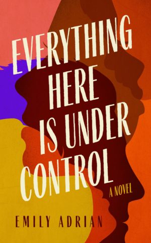Everything Here Is under Control: A Novel