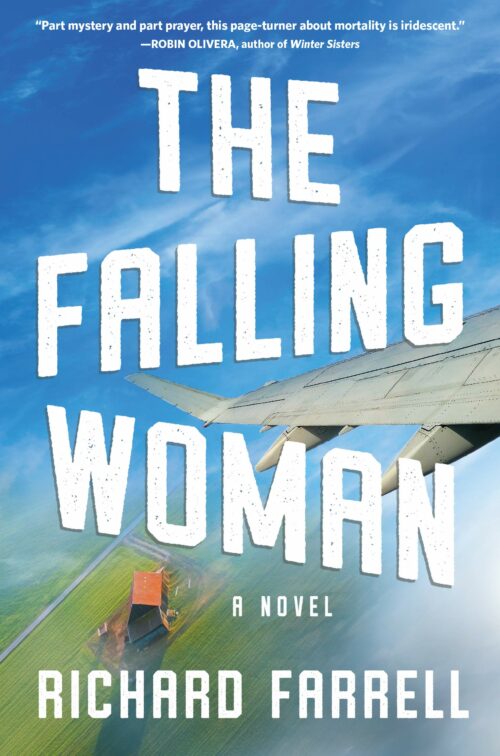 The Falling Woman: A Novel