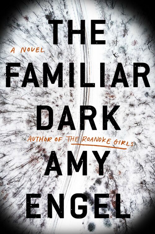 The Familiar Dark: A Novel