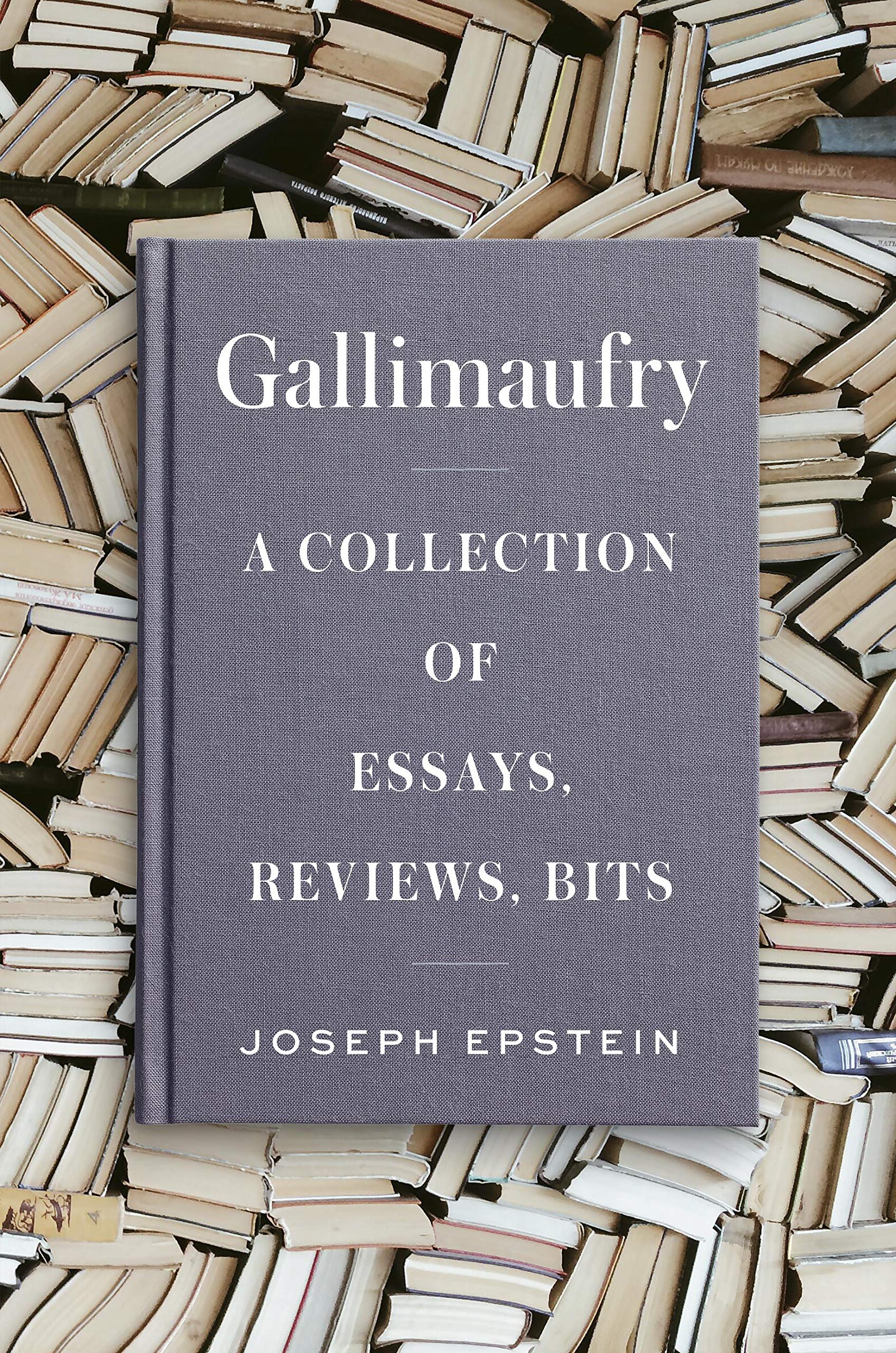 Gallimaufry: A Collection of Essays, Reviews, Bits