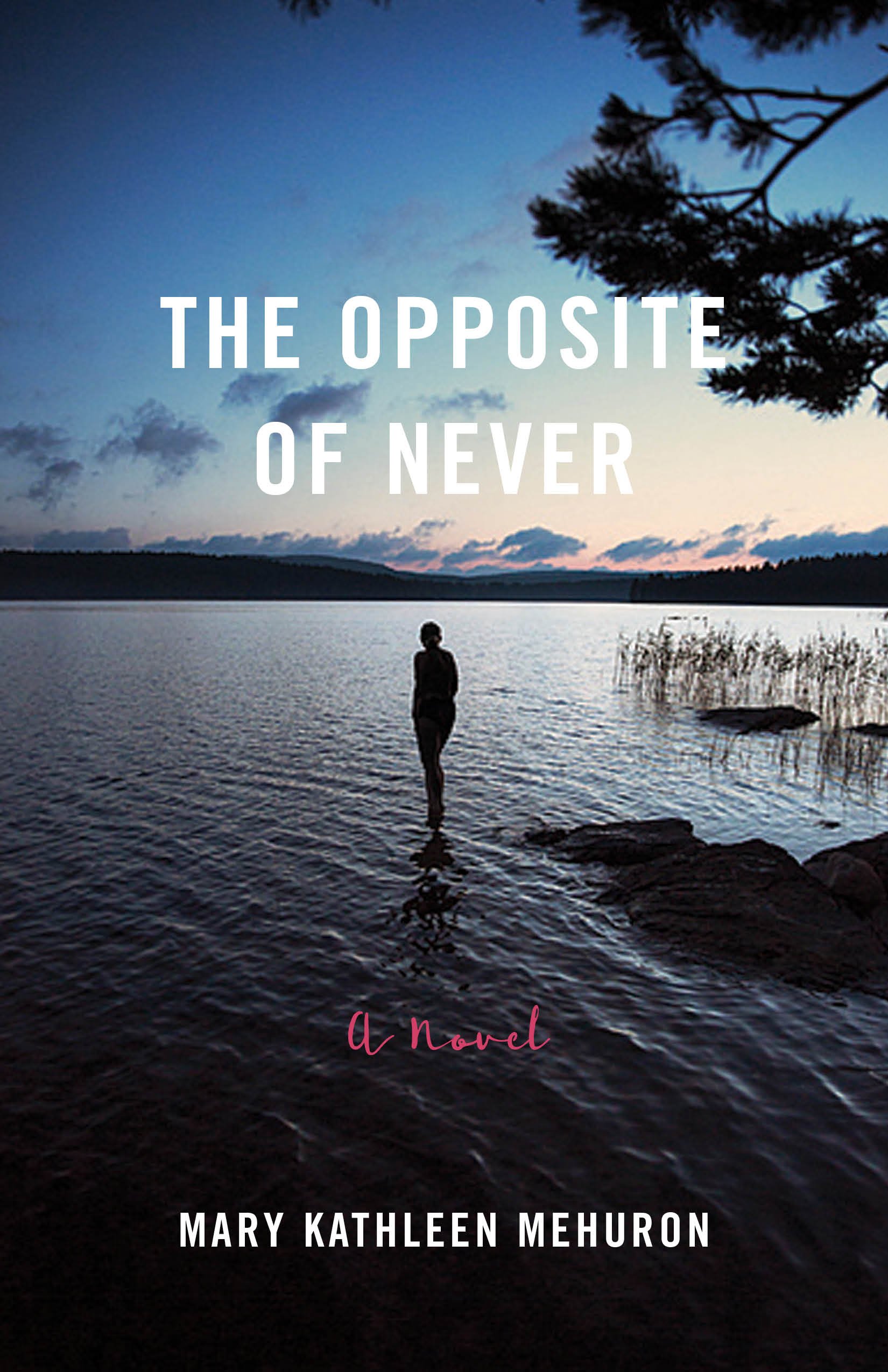 The Opposite of Never: A Novel