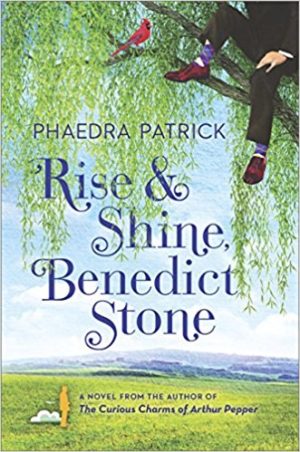 Rise and Shine, Benedict Stone: A Novel