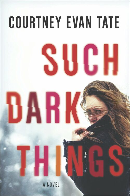 Such Dark Things: A Novel of Psychological Suspense