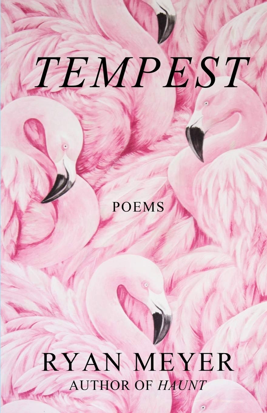 Tempest: Poems