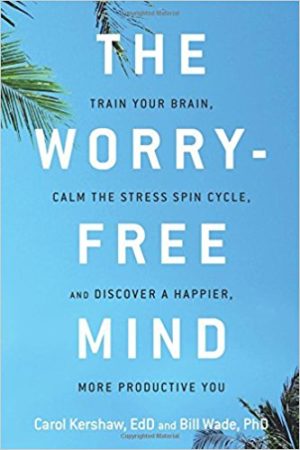 The Worry-Free Mind: Train Your Brain, Calm the Stress Spin Cycle, and Discover a Happier, More Productive You